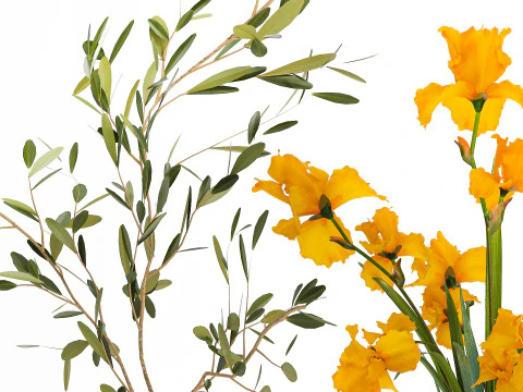 Collezione piccoli mazzi di fiori di papavero oliva Iris set vaso Modello 3D