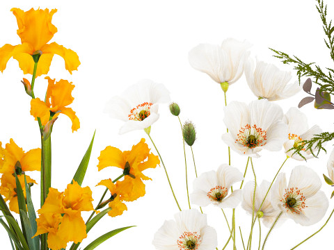 Koleksi karangan bunga kecil set vas bunga poppy zaitun Iris Model 3D