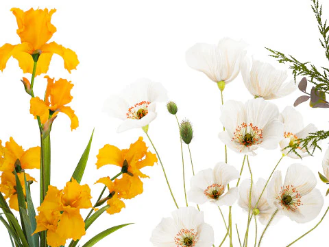 Collezione piccoli mazzi di fiori di papavero oliva Iris set vaso Modello 3D