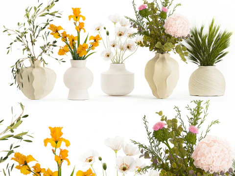 Collezione piccoli mazzi di fiori di papavero oliva Iris set vaso Modello 3D