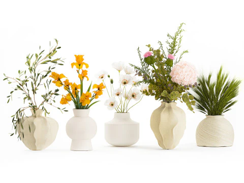 Collezione piccoli mazzi di fiori di papavero oliva Iris set vaso Modello 3D