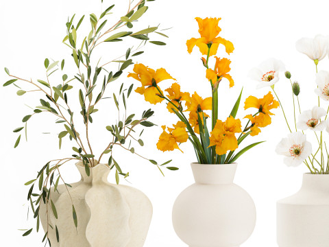 Koleksi karangan bunga kecil set vas bunga poppy zaitun Iris Model 3D