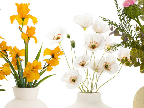 Collezione piccoli mazzi di fiori di papavero oliva Iris set vaso Modello 3D