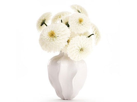 White Chrysanthemum Dahlias Bouquet Modern vase decor 3D Model