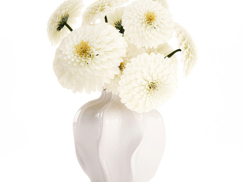 सफेद गुलदाउदी डहलिया गुलदस्ता आधुनिक फूलदान सजावट 3D मॉडल