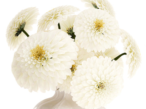 सफेद गुलदाउदी डहलिया गुलदस्ता आधुनिक फूलदान सजावट 3D मॉडल