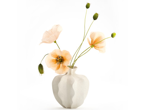 Realistico bouquet di fiori di campo Decoro vaso di papavero islandese Modello 3D