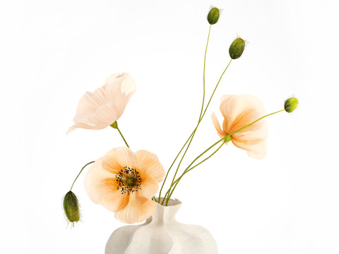 Buquê de flores silvestres realista, decoração de vaso de papoula islandesa Modelo 3D