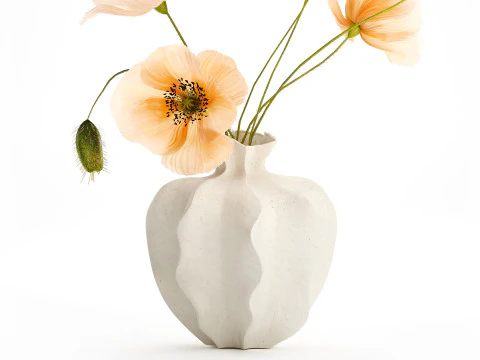 Realistic wildflower bouquet Icelandic poppy vase decor 3D Model