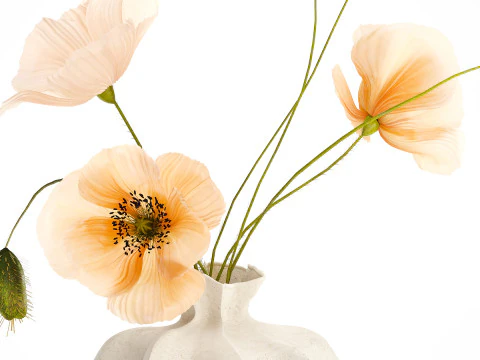 Realistic wildflower bouquet Icelandic poppy vase decor 3D Model