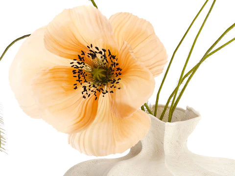 Realistic wildflower bouquet Icelandic poppy vase decor 3D Model