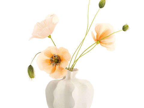 Buquê de flores silvestres realista, decoração de vaso de papoula islandesa Modelo 3D