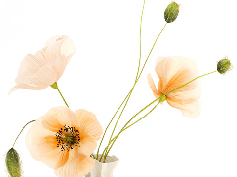 Realistic wildflower bouquet Icelandic poppy vase decor 3D Model