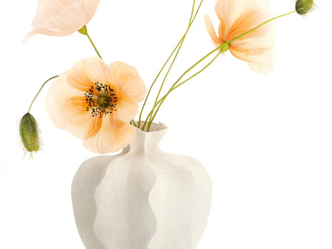 Realistic wildflower bouquet Icelandic poppy vase decor 3D Model
