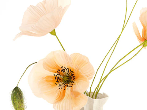 Realistic wildflower bouquet Icelandic poppy vase decor 3D Model