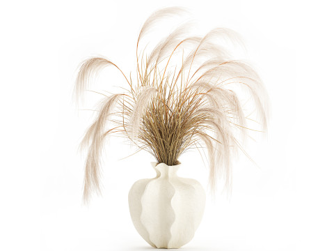 Boeket droogbloemen Cortaderia pampas takken vaas decor 3D Model