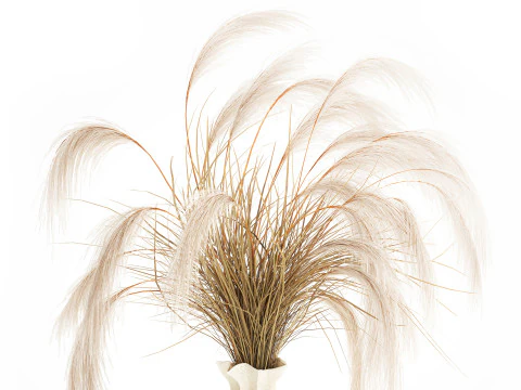 Bouquet di fiori secchi Cortaderia pampas rami decorazione vaso Modello 3D