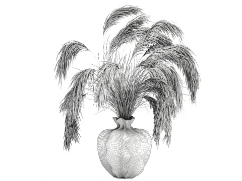 Bouquet di fiori secchi Cortaderia pampas rami decorazione vaso Modello 3D