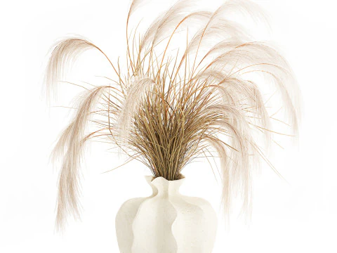 Bouquet di fiori secchi Cortaderia pampas rami decorazione vaso Modello 3D