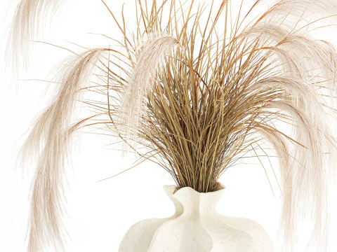 Bouquet di fiori secchi Cortaderia pampas rami decorazione vaso Modello 3D