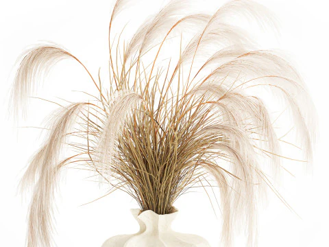 Bouquet di fiori secchi Cortaderia pampas rami decorazione vaso Modello 3D