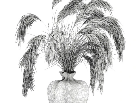 Bouquet di fiori secchi Cortaderia pampas rami decorazione vaso Modello 3D