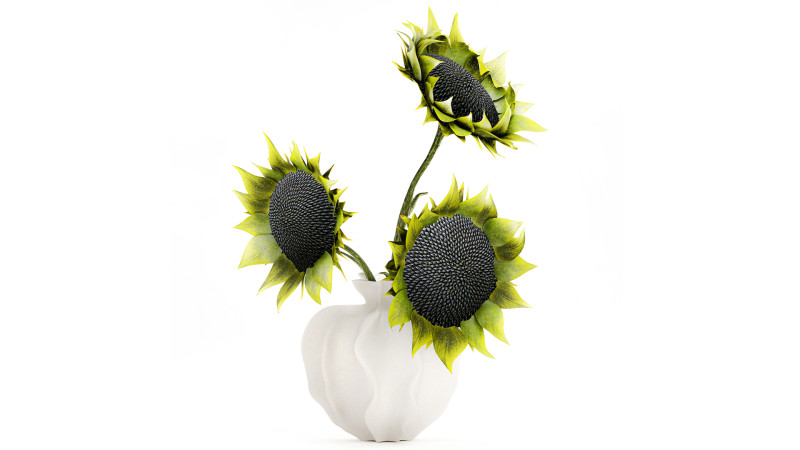 Piękny bukiet zielonych czarnych słonecznik&oacute;w w wazonie Model 3D .c4d .max .obj .3ds .fbx .stl .blend 