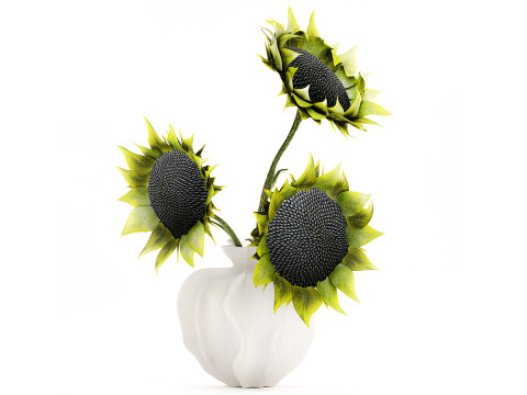 सुंदर गुलदस्ता हरे काले सूरजमुखी फूलदान सजावट 3D मॉडल