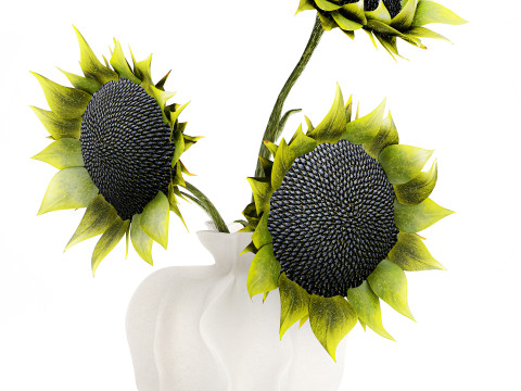 Piękny bukiet zielonych czarnych słonecznik&oacute;w w wazonie Model 3D