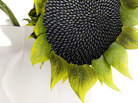 Piękny bukiet zielonych czarnych słonecznik&oacute;w w wazonie Model 3D