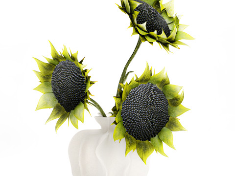 Piękny bukiet zielonych czarnych słonecznik&oacute;w w wazonie Model 3D