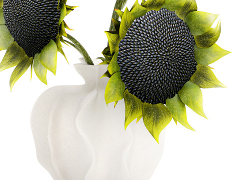 Piękny bukiet zielonych czarnych słonecznik&oacute;w w wazonie Model 3D