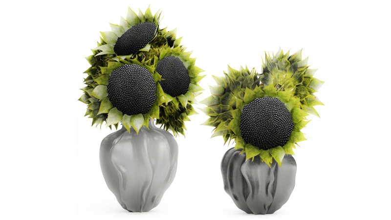 Bellissimo bouquet di decorazioni per vasi di girasoli verdi e neri Modello 3D .c4d .max .obj .3ds .fbx .stl .blend