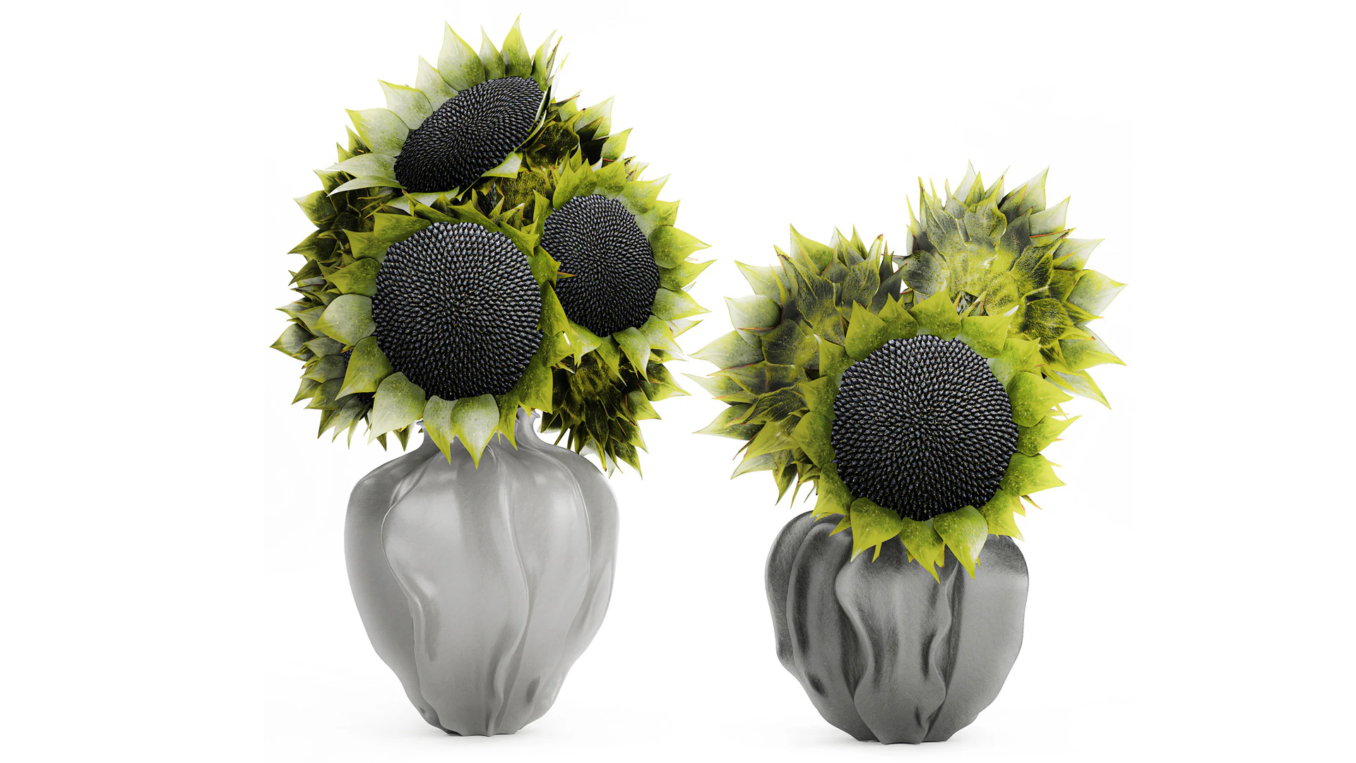 Beautiful Bouquet Of Green And Black Sunflowers vase decor 3D Model .c4d .max .obj .3ds .fbx .stl .blend 