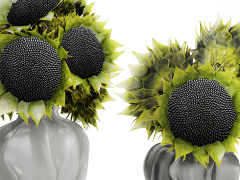 Bellissimo bouquet di decorazioni per vasi di girasoli verdi e neri Modello 3D