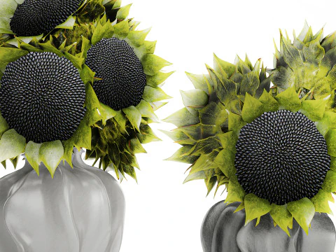 Beautiful Bouquet Of Green And Black Sunflowers vase decor 3D Model
