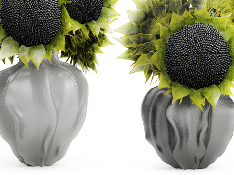Bellissimo bouquet di decorazioni per vasi di girasoli verdi e neri Modello 3D