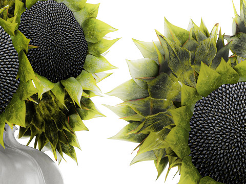 Bellissimo bouquet di decorazioni per vasi di girasoli verdi e neri Modello 3D