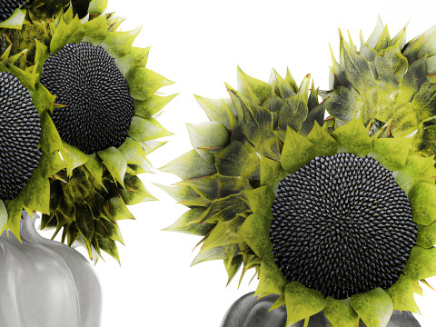 Bellissimo bouquet di decorazioni per vasi di girasoli verdi e neri Modello 3D