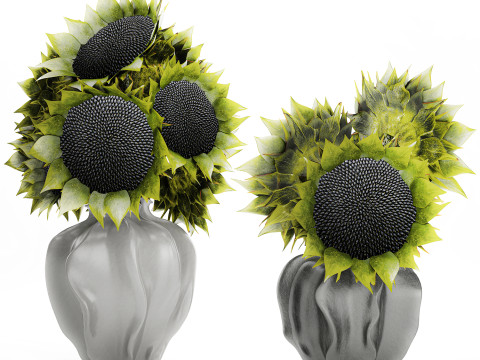 Bellissimo bouquet di decorazioni per vasi di girasoli verdi e neri Modello 3D
