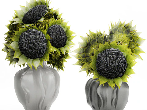 Beautiful Bouquet Of Green And Black Sunflowers vase decor 3D Model