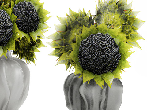 Bellissimo bouquet di decorazioni per vasi di girasoli verdi e neri Modello 3D