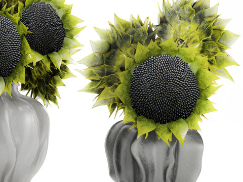 Beautiful Bouquet Of Green And Black Sunflowers vase decor 3D Model
