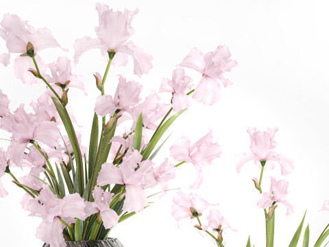 सुंदर यथार्थवादी गुलदस्ता गुलाबी फूल आईरिस फूलदान सजावट 3D मॉडल