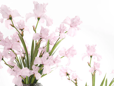 Bellissimo bouquet realistico fiori rosa arredamento vaso Iris Modello 3D