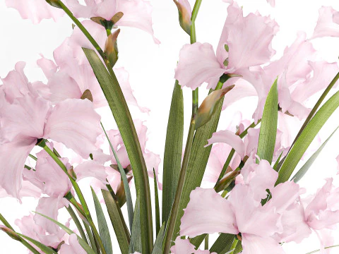 Bellissimo bouquet realistico fiori rosa arredamento vaso Iris Modello 3D