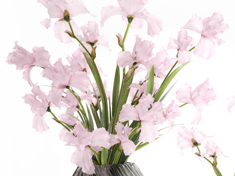 सुंदर यथार्थवादी गुलदस्ता गुलाबी फूल आईरिस फूलदान सजावट 3D मॉडल