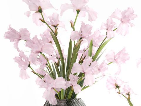 Bellissimo bouquet realistico fiori rosa arredamento vaso Iris Modello 3D