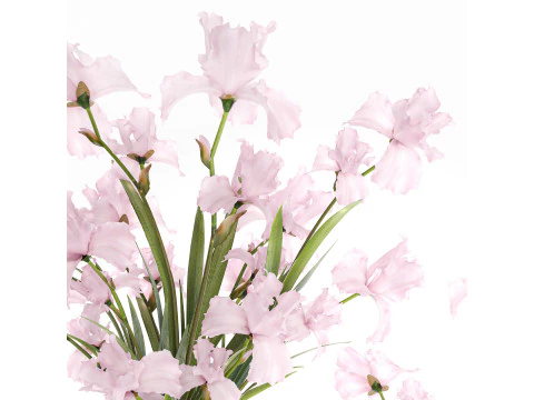 Bellissimo bouquet realistico fiori rosa arredamento vaso Iris Modello 3D