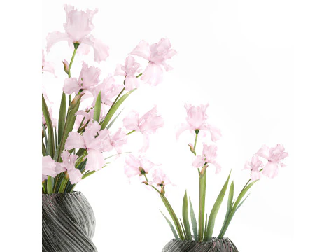 Bellissimo bouquet realistico fiori rosa arredamento vaso Iris Modello 3D